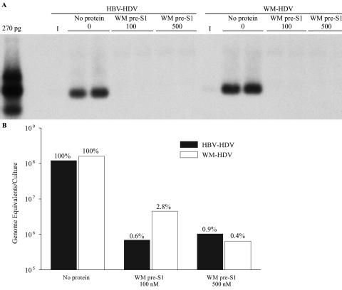 FIG. 8.