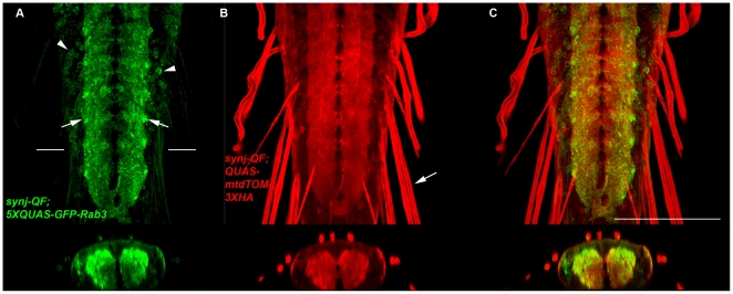 Figure 9