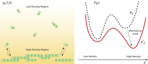 Fig. 10.