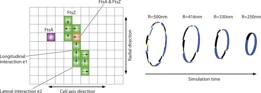 Fig. 11.