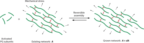 Fig. 5.