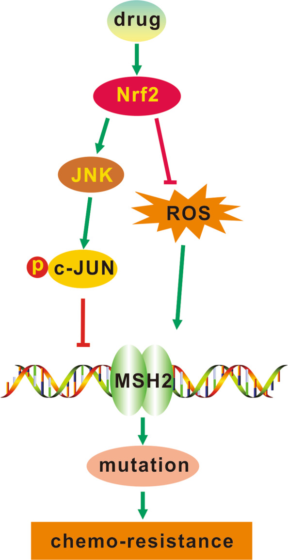 Fig. 7