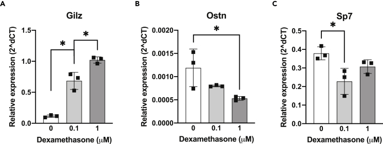 Figure 1