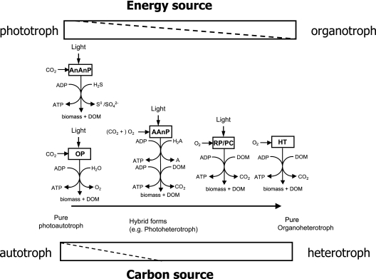 FIG. 1.