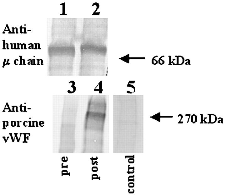 Figure 10.