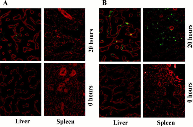 Figure 11.