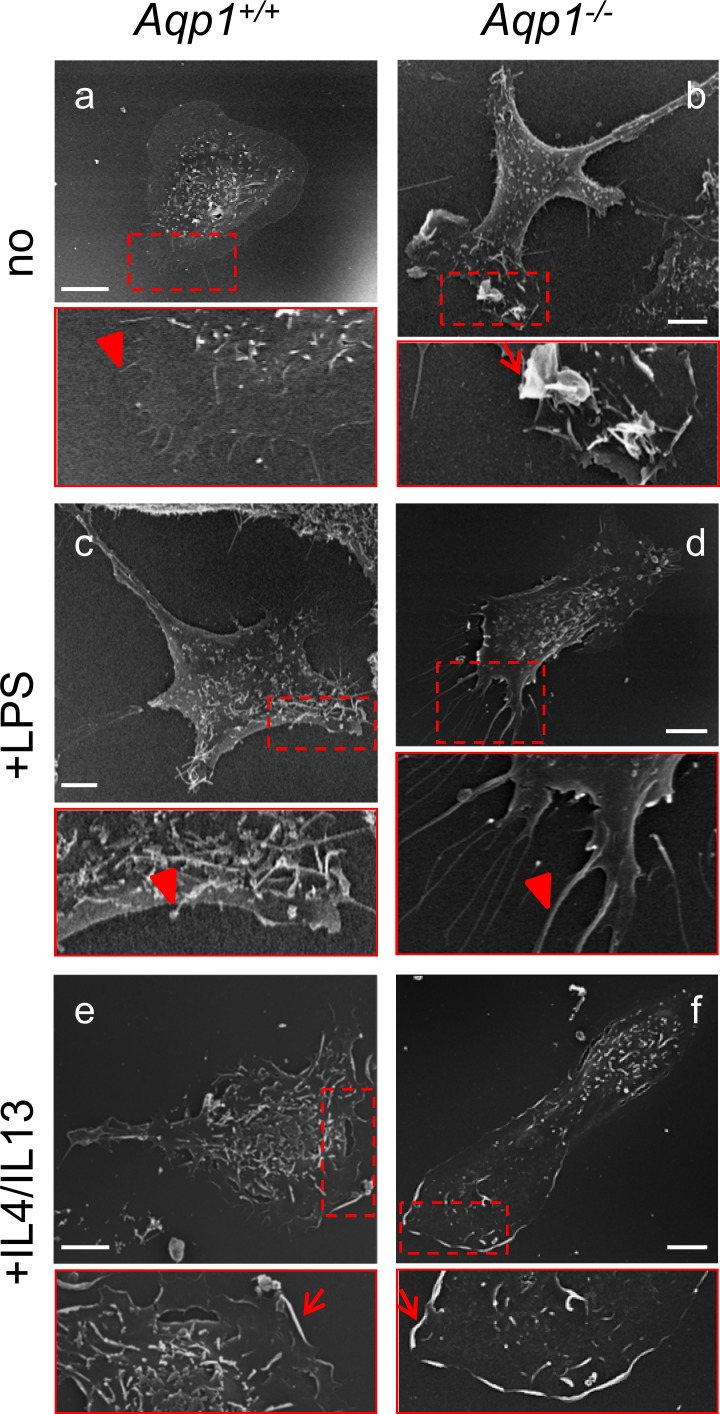 Fig 5