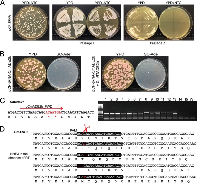 FIG 3