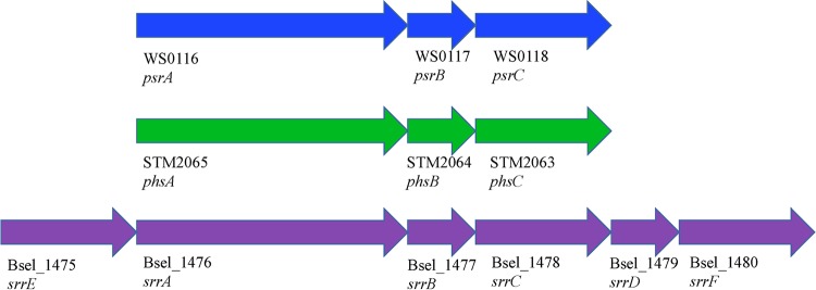 FIG 4