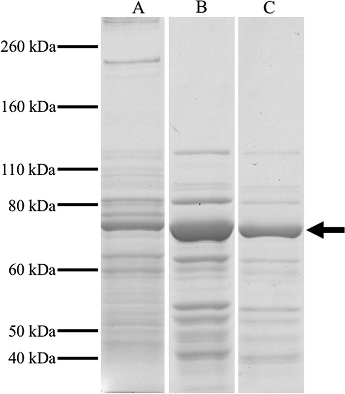 FIG 2