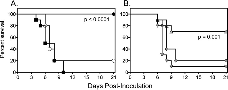 FIG 1