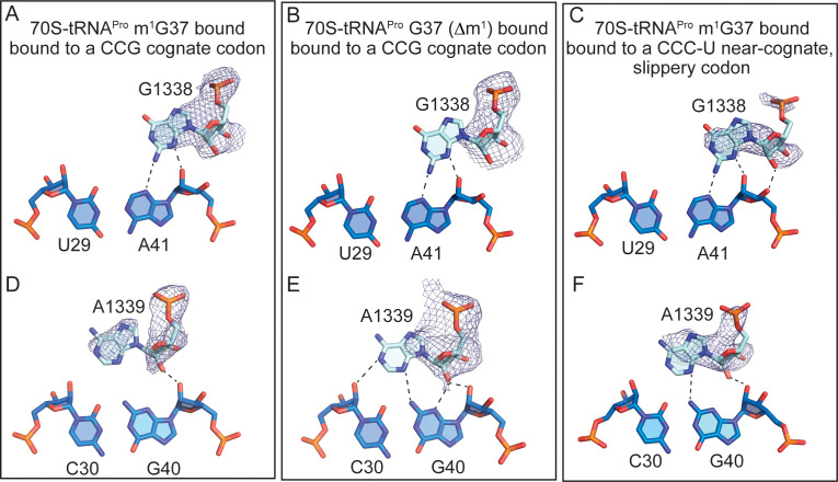 Figure 2—figure supplement 2.