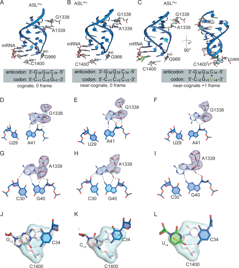 Figure 5—figure supplement 1.