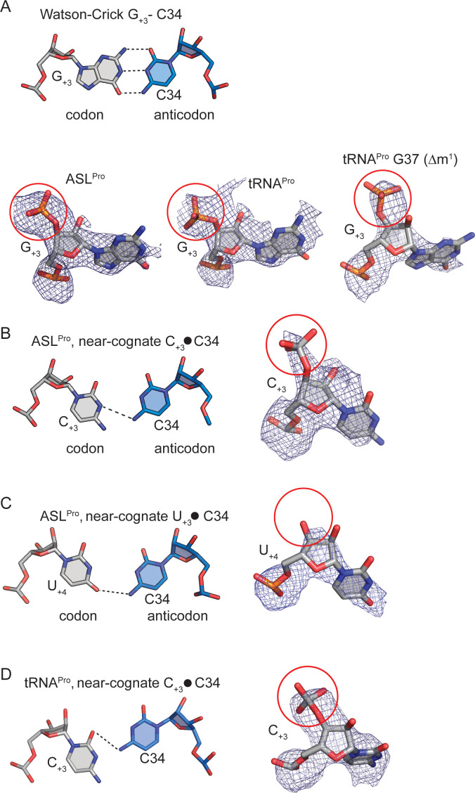 Figure 1—figure supplement 1.