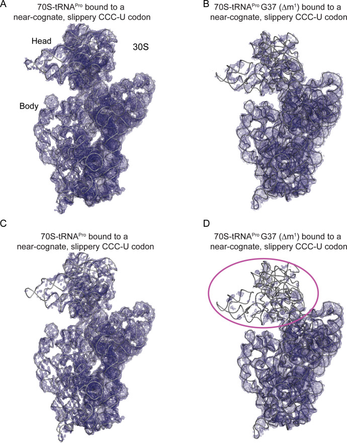 Figure 2—figure supplement 3.