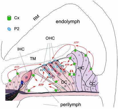 Fig. 4.