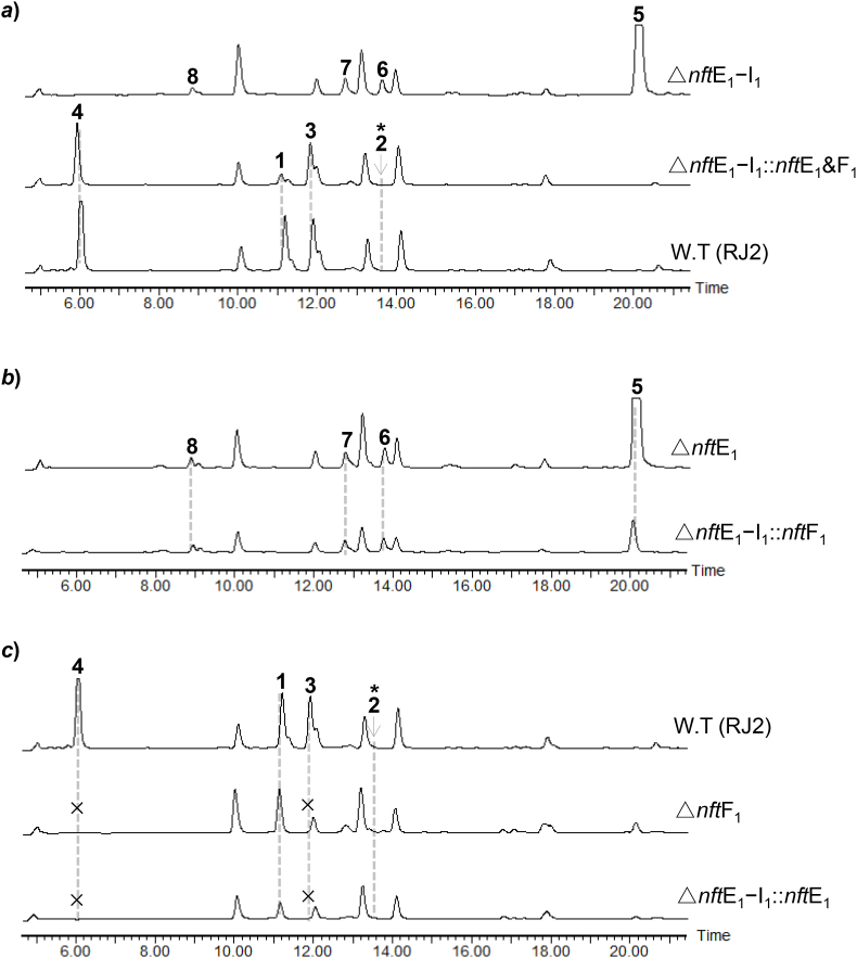 Fig. 4