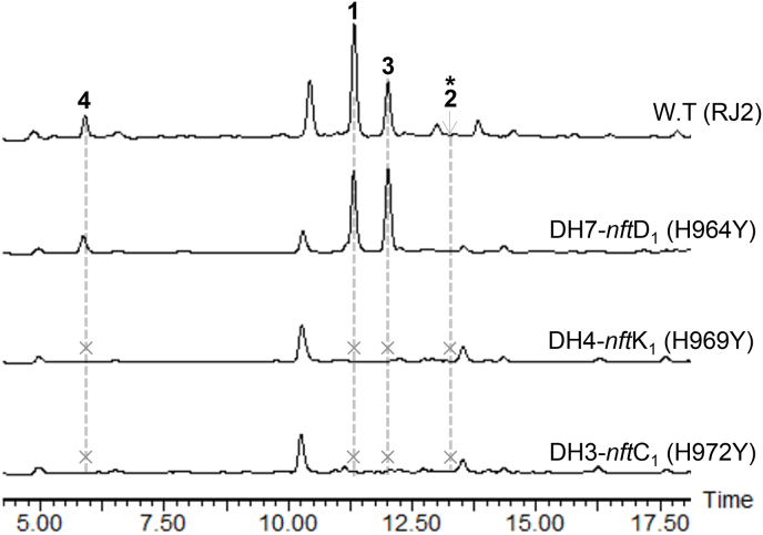 Fig. 3