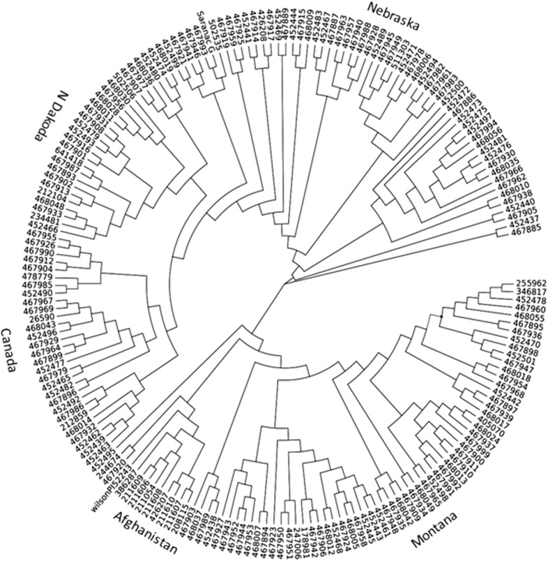 Fig 1