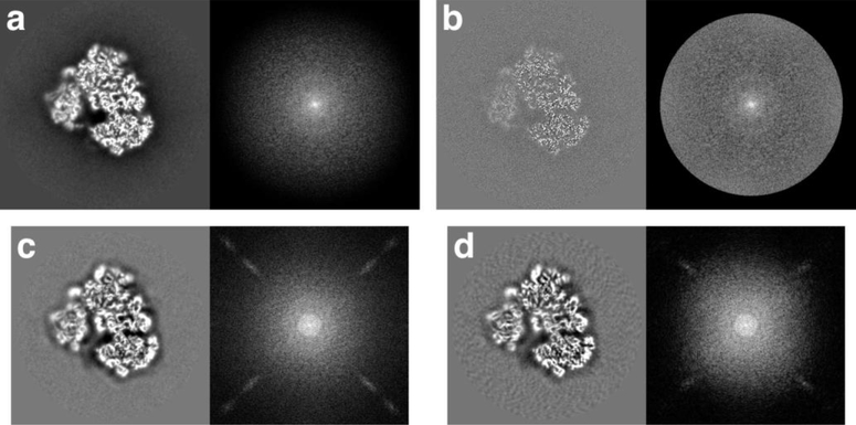 Figure 3: