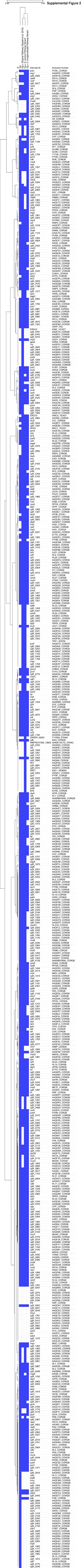 Supplemental figure 2