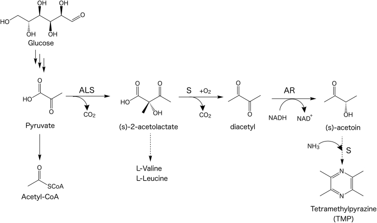 Fig. 1