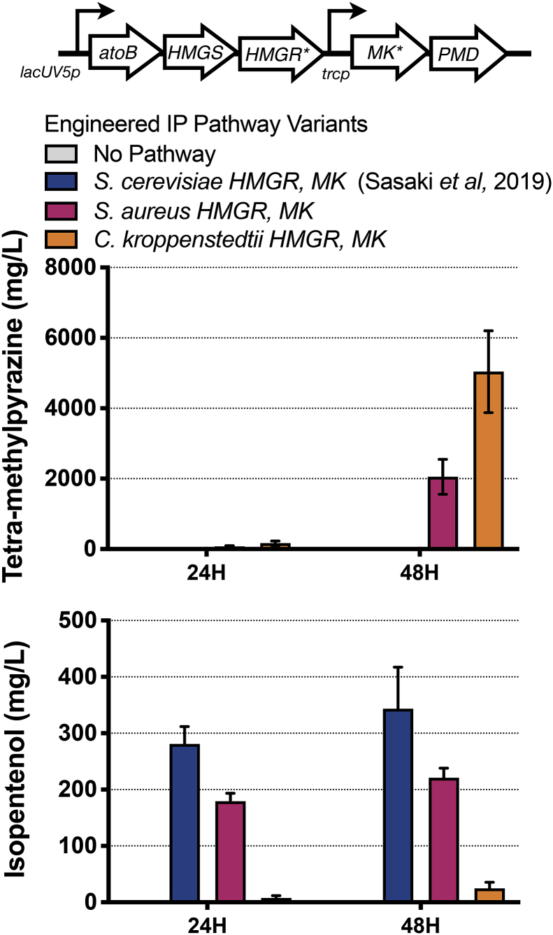 Fig. 2