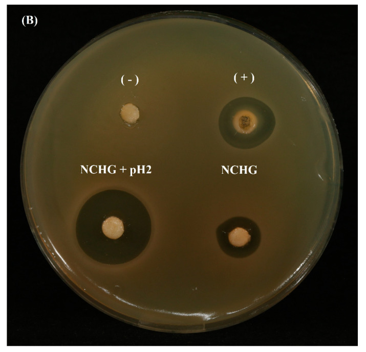 Figure 12