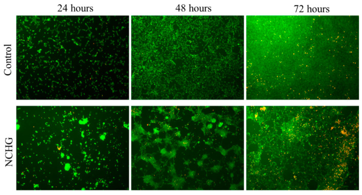 Figure 11