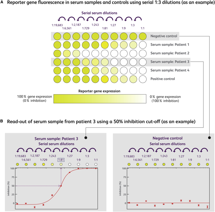 Figure 4