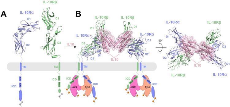 Figure 10.