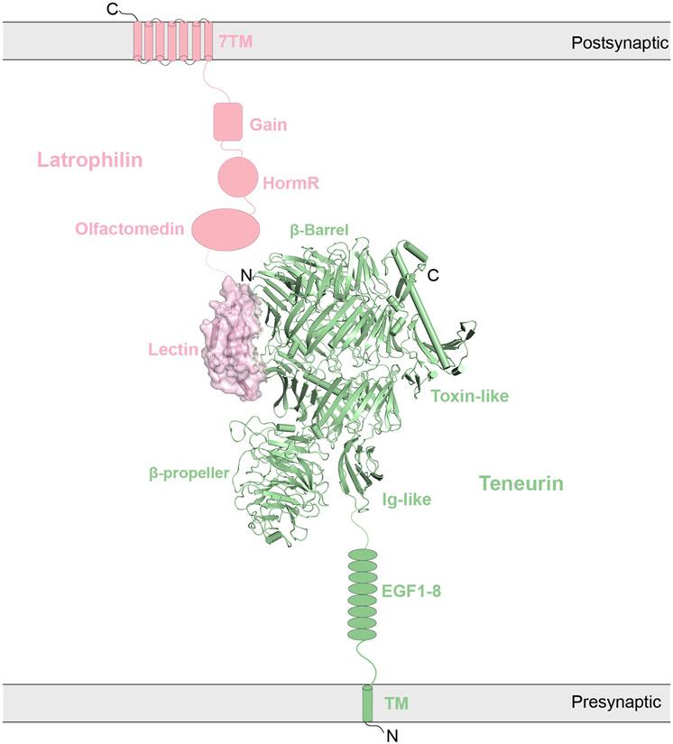 Figure 12.