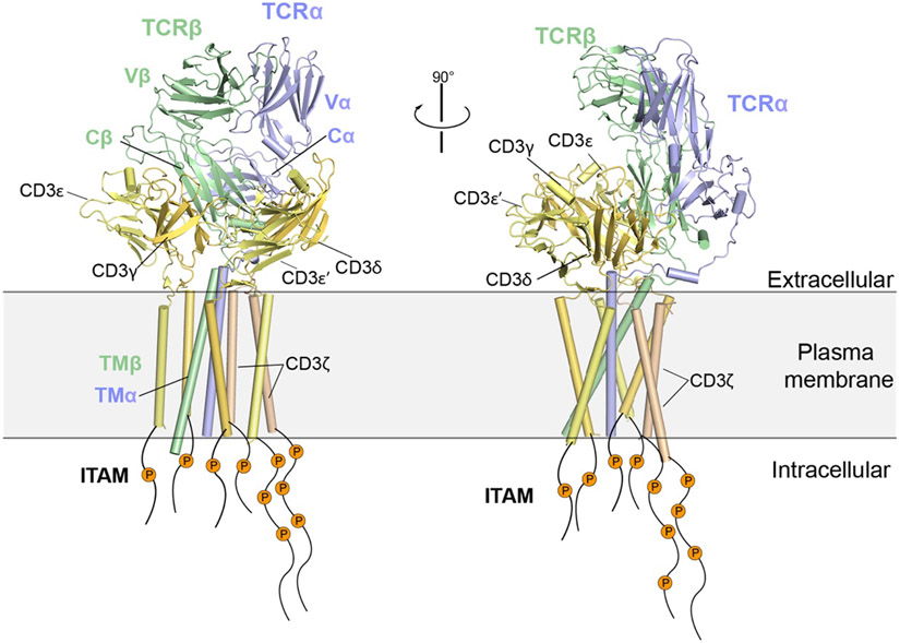 Figure 13.