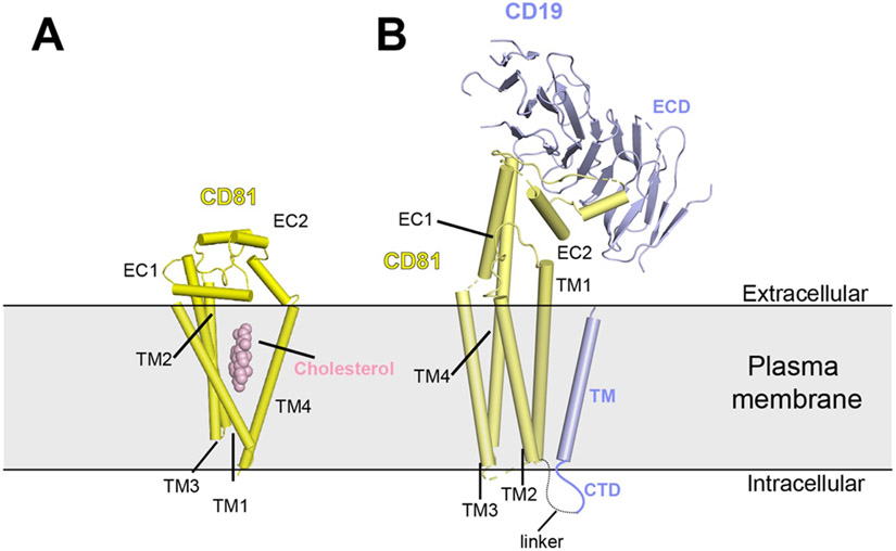 Figure 11.