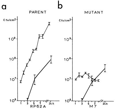 FIG. 1