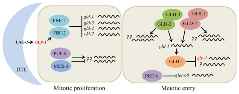 Fig. 6.3