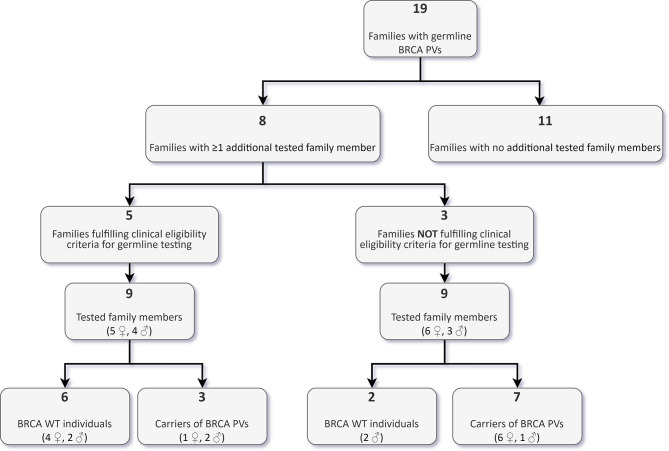 Figure 6