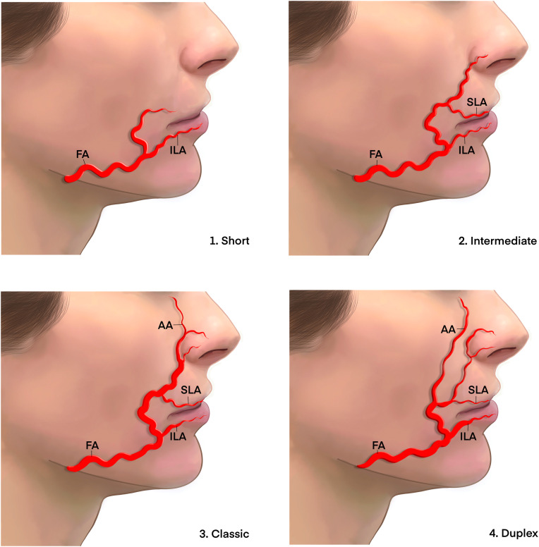 Figure 5: