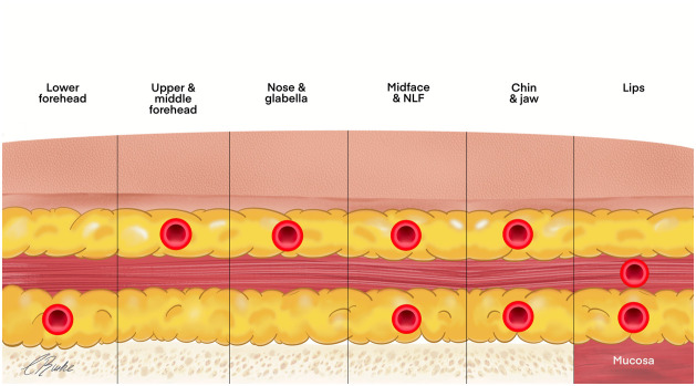 Figure 12: