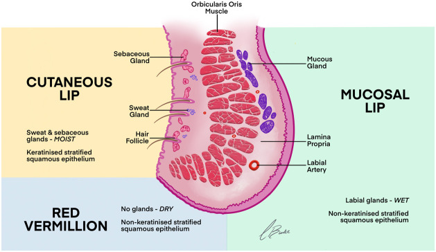 Figure 9: