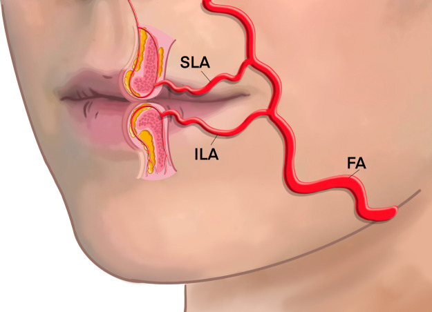 Figure 10: