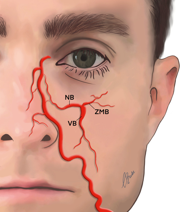 Figure 4: