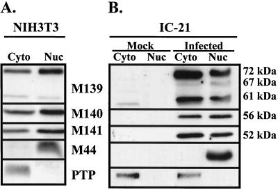 FIG. 8