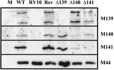 FIG. 6