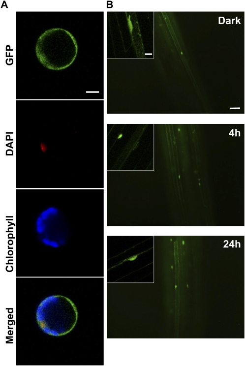 Figure 3.