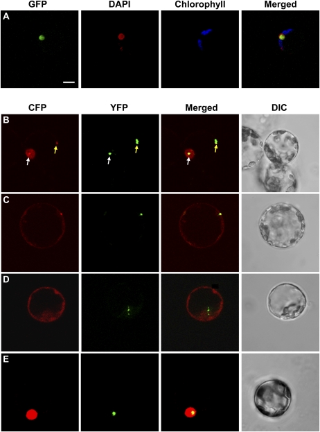 Figure 4.