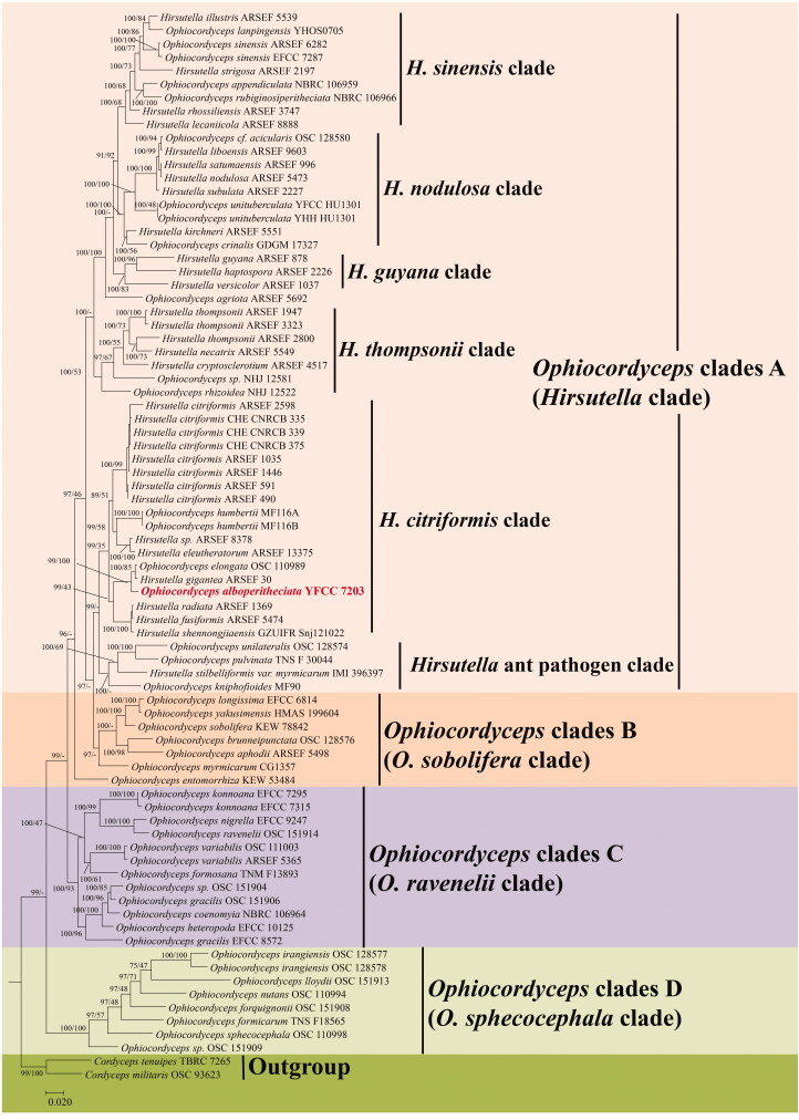 Figure 1.