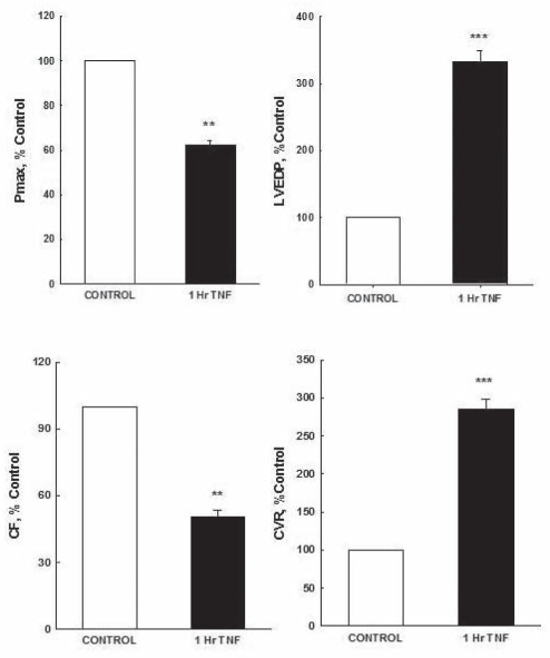 Figure 2)