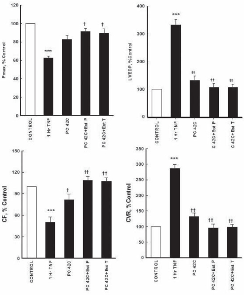 Figure 5)