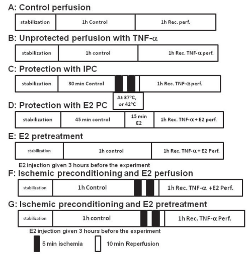 Figure 1)